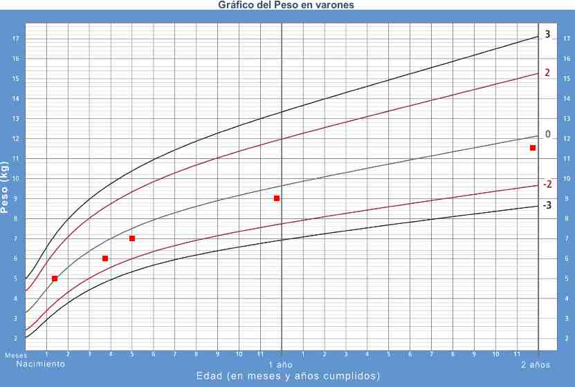 Gráfico de Peso del Expediente Médico