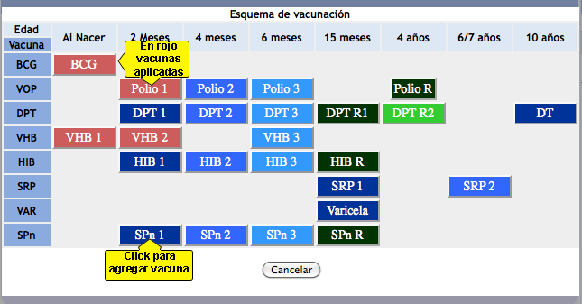 Esquema de vacunación del Expediente Médico Electrónico